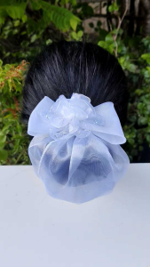 กิ๊บเน็ต เน็ตผม กิ๊บพยาบาล ข้าาชการ