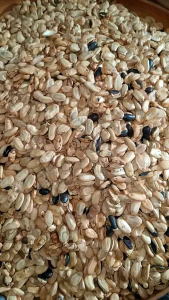 Kacang Kedawung Matang 250 Gr: Camilan Sehat & Solusi Perut Mules