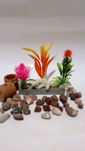 tanaman hias aquarium batu nanas ping.1pc