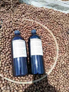 Trái Đủng đỉnh Khô Vùng 7 Núi ( Gói 1kg) Điề.u Tr.ị B.ệnh G.out và xư.ơng K.hớp