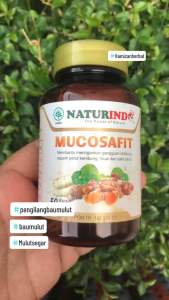 Penghilang Bau Mulut Busuk Permanen Menahun MUCOSAFIT Isi 50 Kapsul