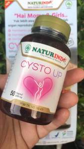 Cysto up Obat Kista Tanpa Operasi Kista Ovarium Kista Bartholin Paling Ampuh Penebalan Dinding Rahim Miom Mioma Uterus Kista Endometriosis