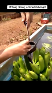ALAT SISIR BUAH PISNAG / ALAT SUSRUK TANDAN PISANG / ALAT POTONG TANDAN PISANG