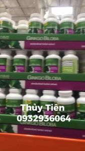 Viên uống bổ não Ginkgo Biloba 120mg 340 viên