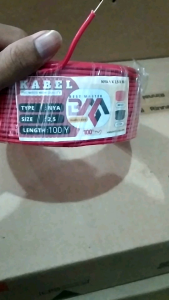 BEST MASTER Kabel NYA 2.5mm 100 Yard tunggal tembaga canpuran lawat untuk listrik