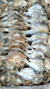 Ikan Asin Tawes/Bader Belah Gresik Kualitas Premium