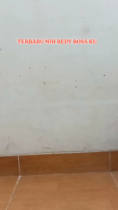 PROMO TERBARU LAMPU TEMBAK OWL 2 MATA PLUS SENJA SOROT UTAMA PUTIH JARAK DEKAT PUTIH.JARAK JAUH PUTIH 30 WAT TEMBUS KABUT BISA UNTUK SEMUA MOTOR DAN MOBIL