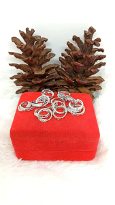 Anting Jepit Donat Full Mata Perak 925: Aksesoris Fashion Wanita