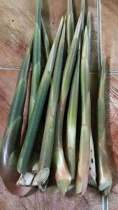 Batang Honje Muda Kecombrang Muda Segar 1 Kg