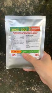 Thu Y Amox - Coli 100G Amoxicillin 50% Hỗ Trợ Triệu Chứng Ecoli Bạch Lỵ Viêm Ruột Từ Huyệt Trùng Phân Xanh Phân Trắng