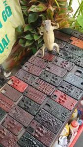 Ốp lưng điện thoại nhiều mẫu mã làm theo yêu cầu
