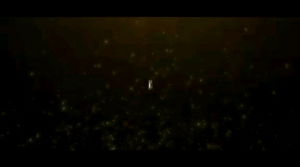 Datulingan Gourmet Tuna: High-Quality Tuna & Premium Tuna Products