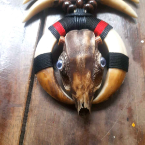 Kalung Etnik Hanmade Taring Imitasi dan Tengkorak Resin