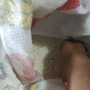 Beras Ketan Putih 1 Kg: Memahami Kualitas & Manfaat