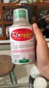 Klocyper 500/50 EC 250 ml Insektisida Racun Pengendali Ulat Grayak Bawang Merah