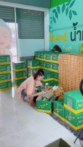 ส่งด่วน🚛 1แถม1 (แถมถุงตีฟอง) สบู่น้ำเขียว ทำความสอาดผิว ลด สิว ป้องกันแบคทีเรีย ขนาด 60g