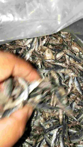 COD ikan asin murah/ ikan asin teri batu/teri hitam/ ikan asin teri hitam