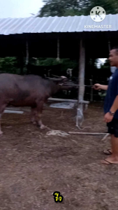 ไซริงค์ระยะไกลขนาด 5 cc