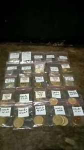 Koin Trothole Body Motor Honda: Ukuran & Aplikasi