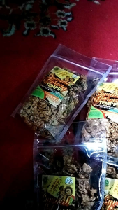 kering tempe