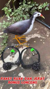 Paket Jerat + Burung Ruak Ruak Kareo Padi - truwok kareo sawah