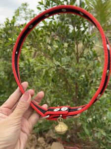 ✅พร้อมส่ง ปอกคอสุนัข ปอกคอแมว สัตว์เลี้ยงขนาดเล็ก