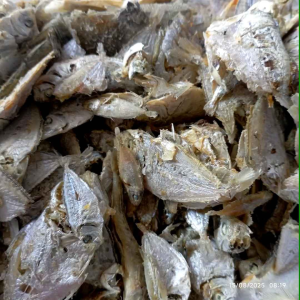 ikan asin murah serba 5rb goceng readystok siap kirim