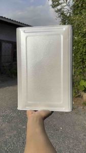 ขาวมูก มูกขาวประกาย 2k Svrcarpaint (รองพื้นขาวก่อน)