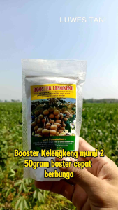 Booster Kelengkeng 250gram pupuk KCLO3 Murni