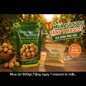 [GIÁ TRẢI NGHIỆM] Túi 300g Nhãn Quế Sấy Gói Tiêu Chuẩn - Sấy Điện Giữ Vị Ngọt Không Chất Bảo Quản