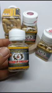 Kapsul tangkur ginseng pegal linu
