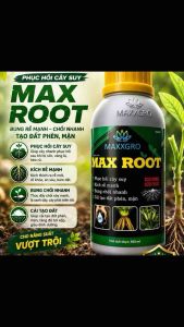 Max Root 500ml - Sản phẩm phục hồi cây suy kích rễ mạnh bung chồi nhanh tạo đất phèn mặn
