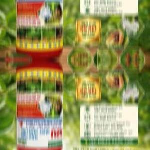 Thuốc trừ sâu USA 240ml Diệt sạch côn trùng Rệp sáp sâu đục trái- Bảo vệ cây trồng | 4 tác động vượt trội: Tiêu diệt - Kéo lui Thâm sâu - Nội hấp Lưu dán mạnh Hiệu quả rộng | Hiệu quả rõ ràng sau 1 lần sử dụng