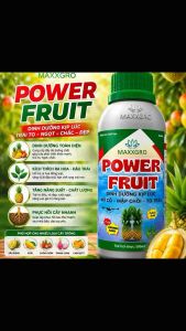 Power Fruit 500ml - Dinh Dưỡng Kip Lục Trái To Ngọt Chắc Đẹp - Tăng Năng Suất Chất Lượng Cây Trồng