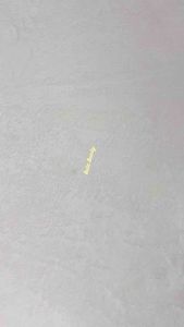 Kẹp gắp tóc thời trang nữ nhựa cao cấp Hàn Quốc