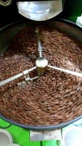 KOPI LUWAK LIAR GAYO ACEH ASLI ARABIKA PREMIUM 100gram BUBUK DAN BIJI TER MURAH MINUMAN KHAS ACEH