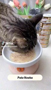 COMBO THÙNG 100 LON-SÚP THỊT HỘP NEEKA CHO MÈO SIÊU NGON THỨC ĂN PATE NEEKA NGON CHO MÈO