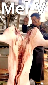 Pisau Potong Tulang Super Tajam & Pisau Dapur Tebal Pencacah Ikan Daging