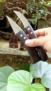 Paket pisau okulasi Program Bonsai SQ45 Free Sarung