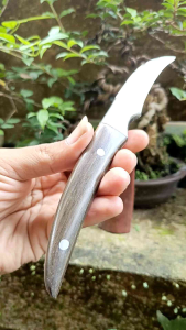 Pisau Okulasi Bonsai Premium SQ 07 Baja Putih HSS Anti karat Free Sarung