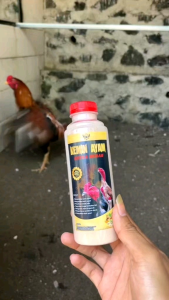 KEMIN BADAN EKTRA MERAH BN mempertebal kulit ayam aduan tahan terhadap pukul serangan jalu dan kulit jadi sehat 250ml