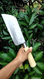 PISAU PEMOTONG DAGING MODEL GARPU BAJA PER MADURA paksi tembus