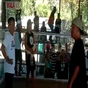 D-PILL 3X STRONGER THAN BLUE HEART FOR FIGHTING CHICKEN/SPIDER LOAD