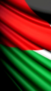 Hijab Segi Empat Motif Voal Premium Palestina Edition