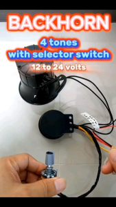 BACKHORN 4 TONES AYAWKOLTABI WALANG JOWAMARITESMAPRISO KA ALL FOR REVERSE