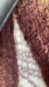 Paket Murah 2pc Pisau Dapur & Daging Baja HSS Original