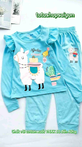 [HCM]Đồ bộ tay dài quần cho bé gái size đại từ 11 đến 42kg D186