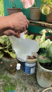 Auto Drip Watering Bag Flow Adjustable Plant Pots Irrigation Arrow Dripper Gardening