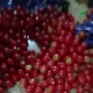 bua gantung  Bua hias artificial isi 6