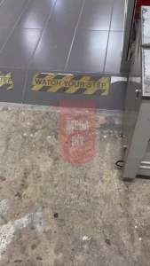 Regair Inovo V15 Ceiling Fan 40" 54" Oris 8 Speed 5 Blade Remote Control Kipas Siling 40Inch 54Inch Kipas Syiling Inovo